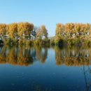 FVCW (15)-Trimpel-Helmut